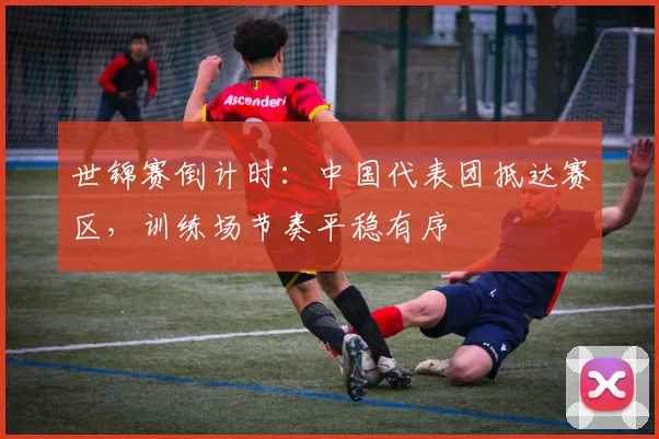 世锦赛倒计时:中国代表团抵达赛区,训练场节奏平稳有序 - 天下足球网推荐