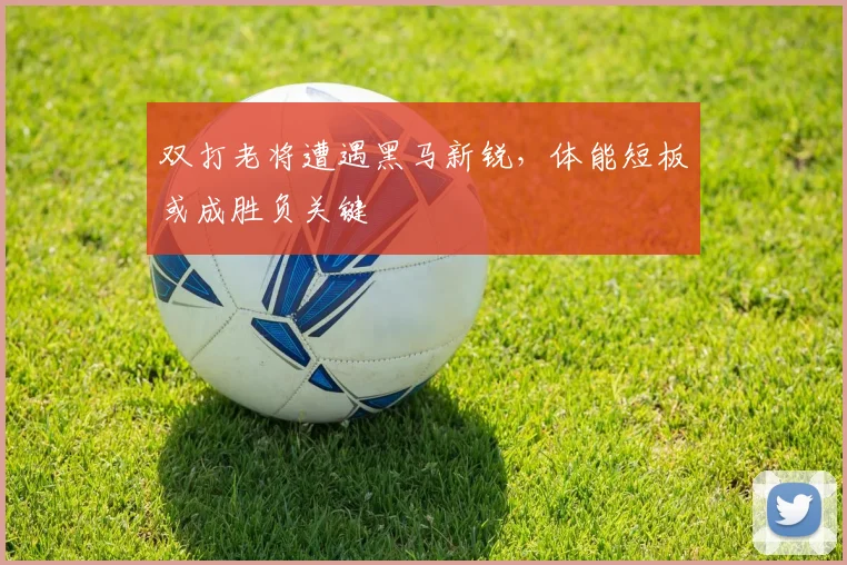 双打老将遭遇黑马新锐,体能短板或成胜负关键 - 天下足球网推荐