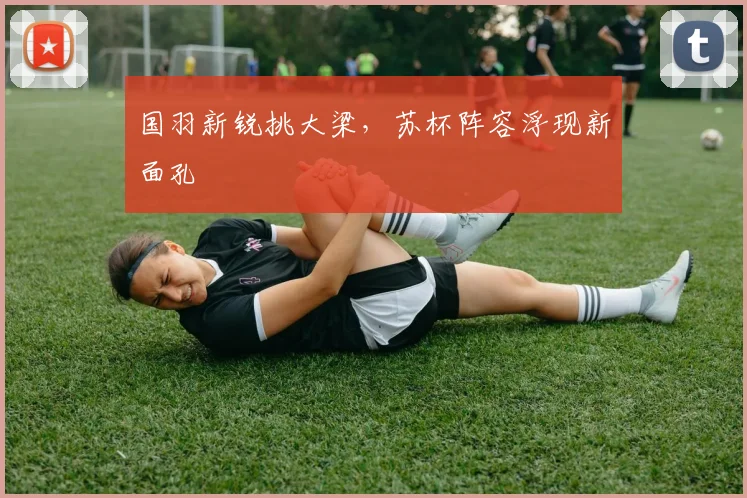 国羽新锐挑大梁，苏杯阵容浮现新面孔 - 天下足球网资讯