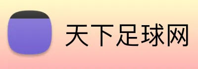 天下足球网品牌标识